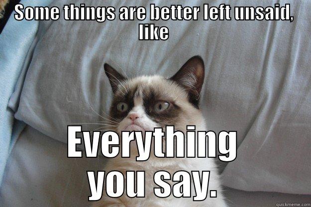 SOME THINGS ARE BETTER LEFT UNSAID, LIKE EVERYTHING YOU SAY. Grumpy Cat