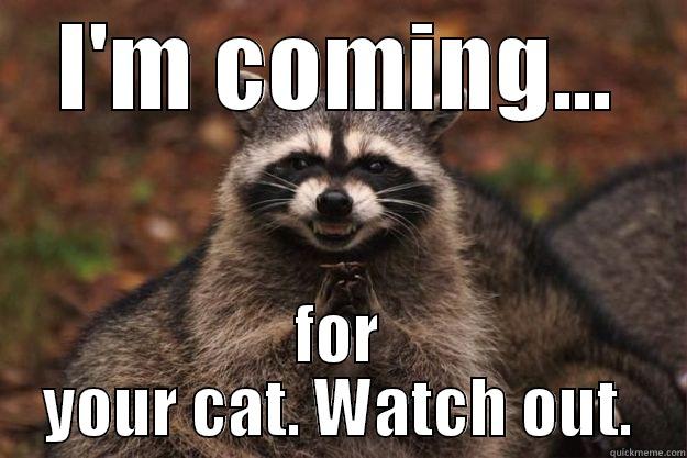 I'M COMING... FOR YOUR CAT. WATCH OUT. Evil Plotting Raccoon