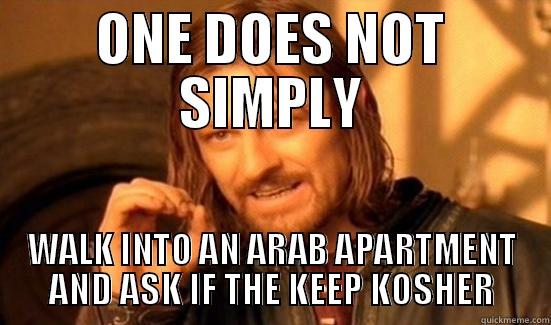 KOSHER arabs - ONE DOES NOT SIMPLY WALK INTO AN ARAB APARTMENT AND ASK IF THE KEEP KOSHER Boromir