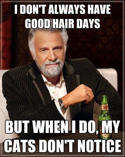 I don't always have good hair days but when I do, my cats don't notice - I don't always have good hair days but when I do, my cats don't notice  The Most Interesting Man In The World