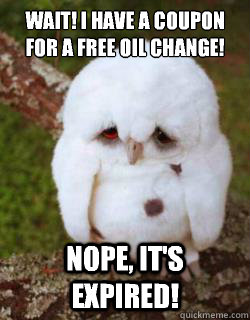 Wait! I have a coupon for a free oil change! Nope, it's expired! - Wait! I have a coupon for a free oil change! Nope, it's expired!  Sad Owl