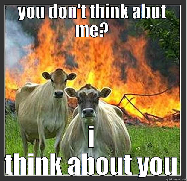 YOU DON'T THINK ABUT ME? I THINK ABOUT YOU Evil cows