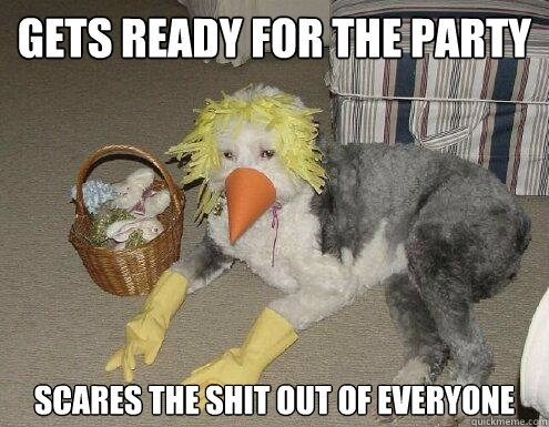 gets ready for the party scares the shit out of everyone  Dress-Up Dog