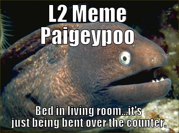 L2 MEME PAIGEYPOO BED IN LIVING ROOM...IT'S JUST BEING BENT OVER THE COUNTER. Bad Joke Eel