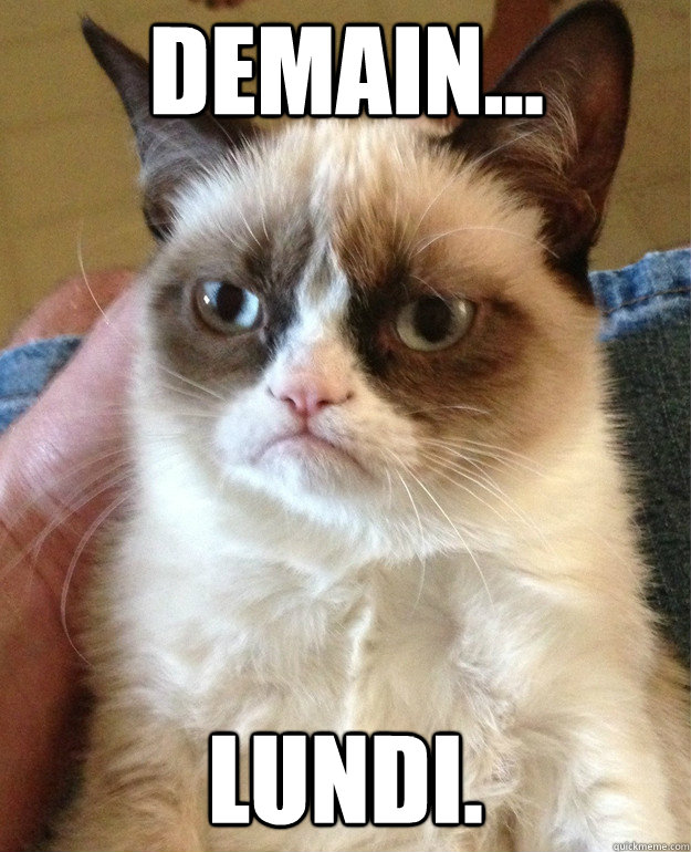 Demain... Lundi.   Grumpy Cat