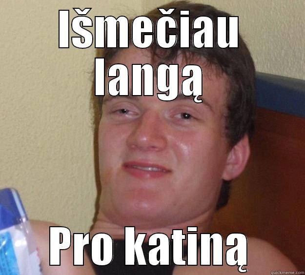 Išmečiau langą - IŠMEČIAU LANGĄ PRO KATINĄ 10 Guy