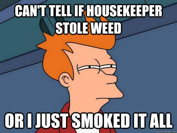 Can't tell if housekeeper stole weed Or i just smoked it all  Futurama Fry