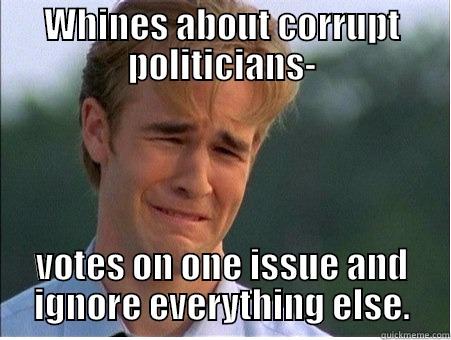 WHINES ABOUT CORRUPT POLITICIANS- VOTES ON ONE ISSUE AND IGNORE EVERYTHING ELSE. 1990s Problems