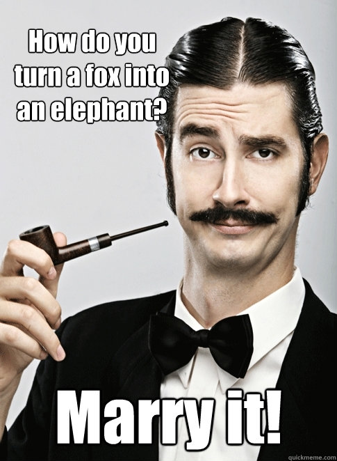 How do you turn a fox into an elephant? Marry it!   Le Snob