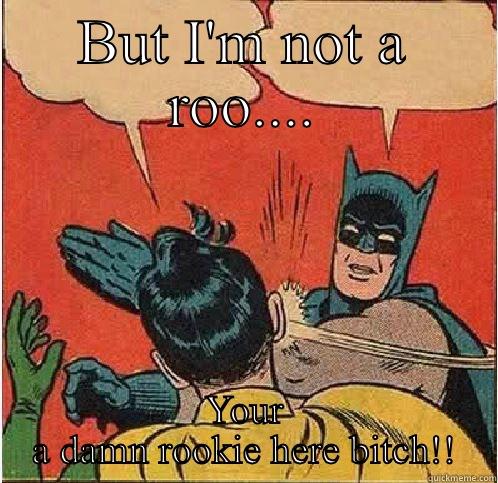 BUT I'M NOT A ROO.... YOUR A DAMN ROOKIE HERE BITCH!! Batman Slapping Robin