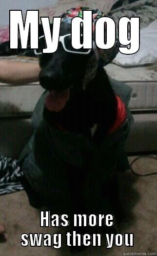 Swag dog - MY DOG HAS MORE SWAG THEN YOU Misc