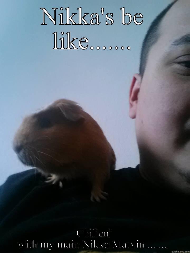 NIKKA'S BE LIKE....... CHILLEN' WITH MY MAIN NIKKA MARVIN......... Misc