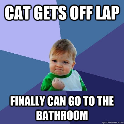 Cat gets off lap finally can go to the bathroom  Success Kid