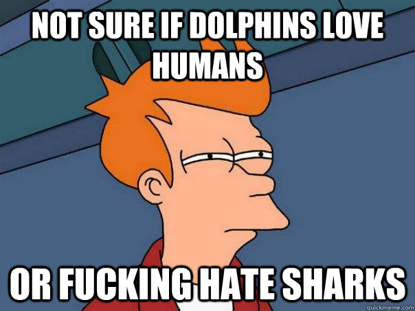 not sure if dolphins love humans or fucking hate sharks  Futurama Fry