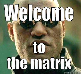 Its all in the matrix - WELCOME TO THE MATRIX Matrix Morpheus