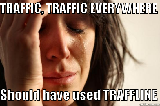 TRAFFIC, TRAFFIC EVERYWHERE SHOULD HAVE USED TRAFFLINE First World Problems