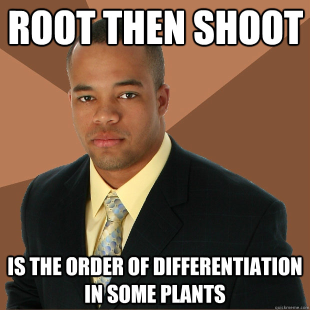 root then shoot is the order of differentiation in some plants  Successful Black Man