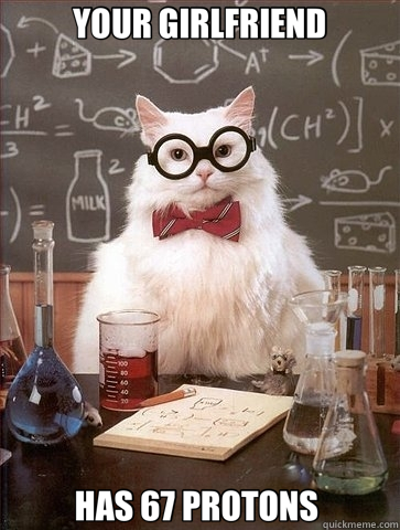 YOUR GIRLFRIEND HAS 67 PROTONS   Chemistry Cat