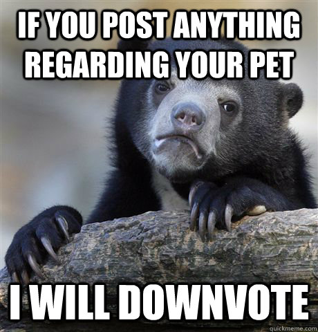 If you post anything regarding your pet I will downvote  Confession Bear