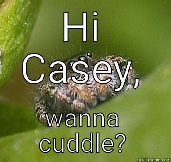 HI CASEY, WANNA CUDDLE? Misunderstood Spider