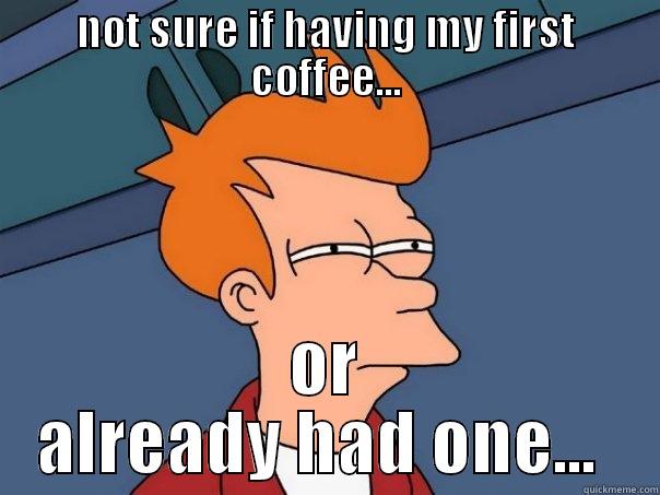 NOT SURE IF HAVING MY FIRST COFFEE... OR ALREADY HAD ONE...  Futurama Fry