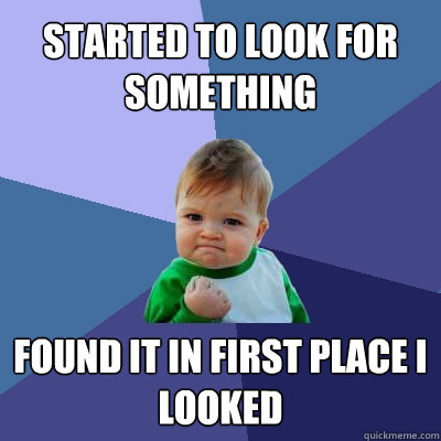 started to look for something Found it in first place i looked  Success Kid