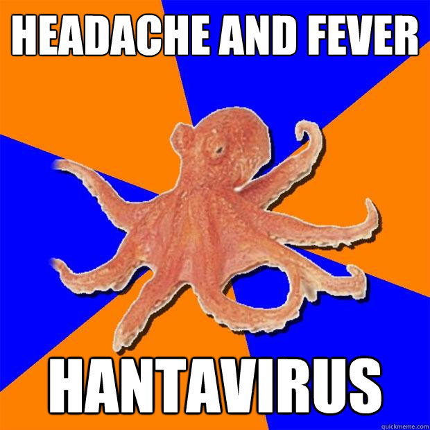 headache and fever hantavirus  Online Diagnosis Octopus