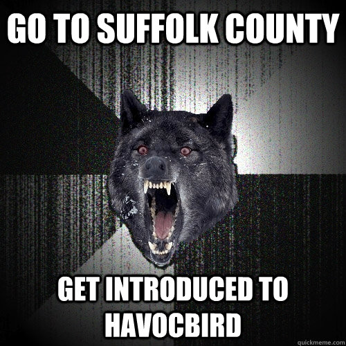 Go to Suffolk County Get introduced to Havocbird - Go to Suffolk County Get introduced to Havocbird  Insanity Wolf