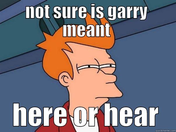 NOT SURE IS GARRY MEANT HERE OR HEAR Futurama Fry