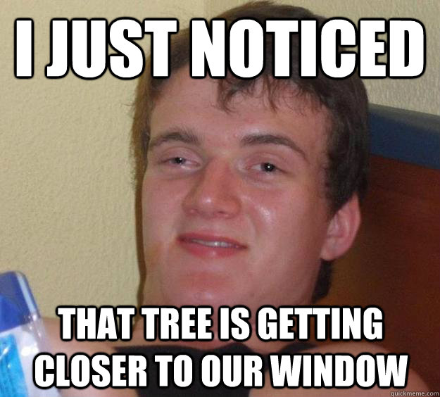 I just noticed That tree is getting closer to our window  10 Guy