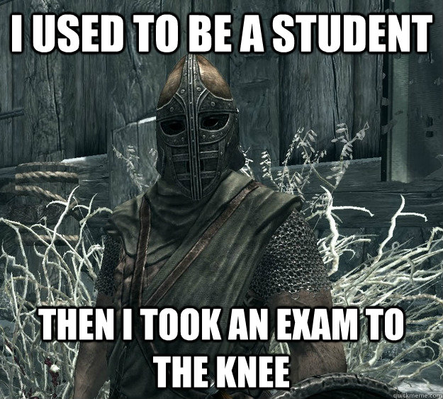 I used to be a student Then I took an exam to the knee  Skyrim Guard