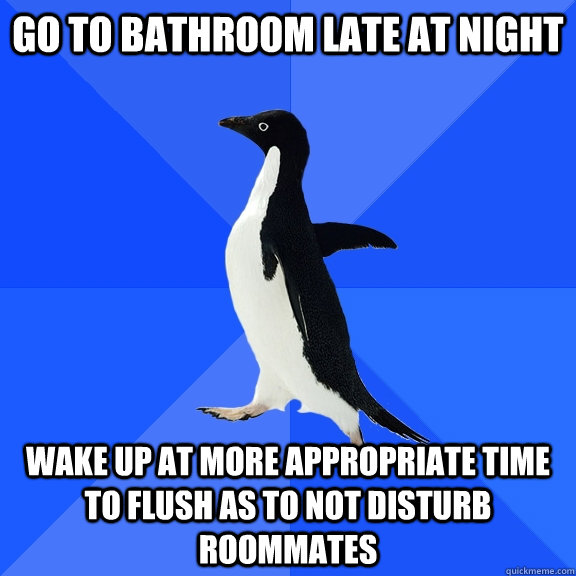 Go to Bathroom late at night Wake up at more appropriate time to flush as to not disturb roommates - Go to Bathroom late at night Wake up at more appropriate time to flush as to not disturb roommates  Socially Awkward Penguin