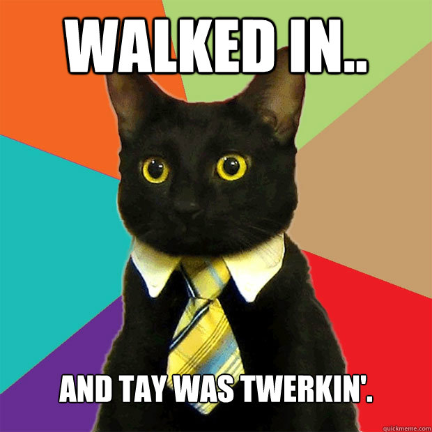 Walked in.. And Tay was twerkin'.  Business Cat