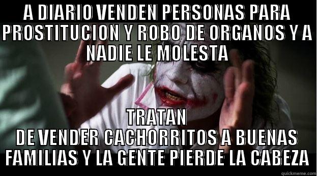 A DIARIO VENDEN PERSONAS PARA PROSTITUCION Y ROBO DE ORGANOS Y A NADIE LE MOLESTA TRATAN DE VENDER CACHORRITOS A BUENAS FAMILIAS Y LA GENTE PIERDE LA CABEZA Joker Mind Loss