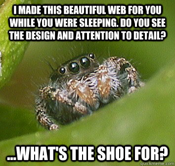 I made this beautiful web for you while you were sleeping. Do you see the design and attention to detail? ...What's the shoe for?  Misunderstood Spider