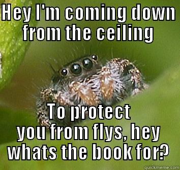 HEY I'M COMING DOWN FROM THE CEILING TO PROTECT YOU FROM FLYS, HEY WHATS THE BOOK FOR? Misunderstood Spider