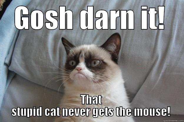 GOSH DARN IT! THAT STUPID CAT NEVER GETS THE MOUSE! Grumpy Cat