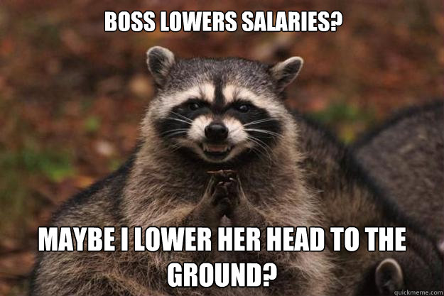 Boss lowers salaries? maybe i lower her head to the ground?  Evil Plotting Raccoon