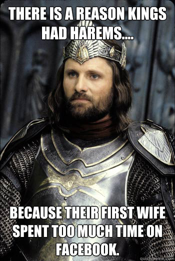 There is a reason Kings had Harems.... Because their first wife spent too much time on Facebook.  