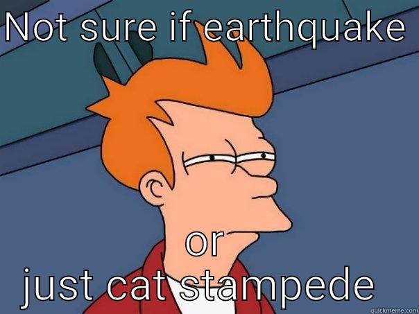 Earthquake or cats  - NOT SURE IF EARTHQUAKE  OR JUST CAT STAMPEDE  Futurama Fry