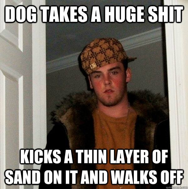 dog takes a huge shit kicks a thin layer of sand on it and walks off - dog takes a huge shit kicks a thin layer of sand on it and walks off  Scumbag Steve