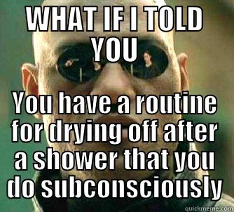 WHAT IF I TOLD YOU YOU HAVE A ROUTINE FOR DRYING OFF AFTER A SHOWER THAT YOU DO SUBCONSCIOUSLY Matrix Morpheus