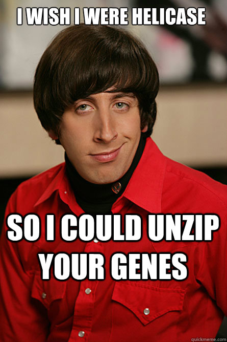 I wish I were Helicase So I could unzip your genes  Pickup Line Scientist