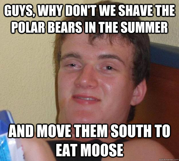 Guys, why don't we shave the polar bears in the summer and move them south to eat moose  10 Guy
