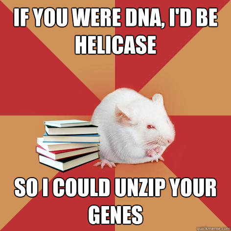 If you were DNA, I'd be helicase So I could unzip your genes - If you were DNA, I'd be helicase So I could unzip your genes  Science Major Mouse