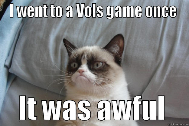 I WENT TO A VOLS GAME ONCE IT WAS AWFUL Grumpy Cat