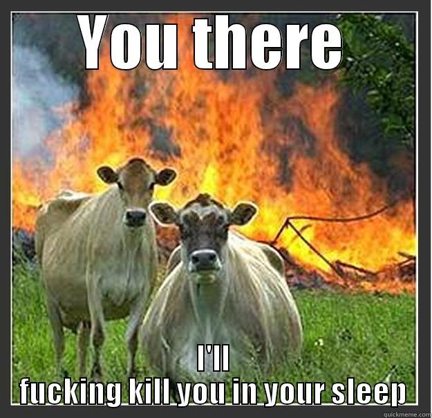 YOU THERE I'LL FUCKING KILL YOU IN YOUR SLEEP Evil cows