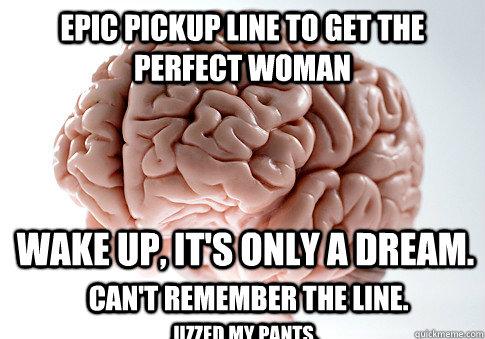 epic pickup line to get the perfect woman wake up, it's only a dream. can't remember the line. jizzed my pants.  Scumbag Brain