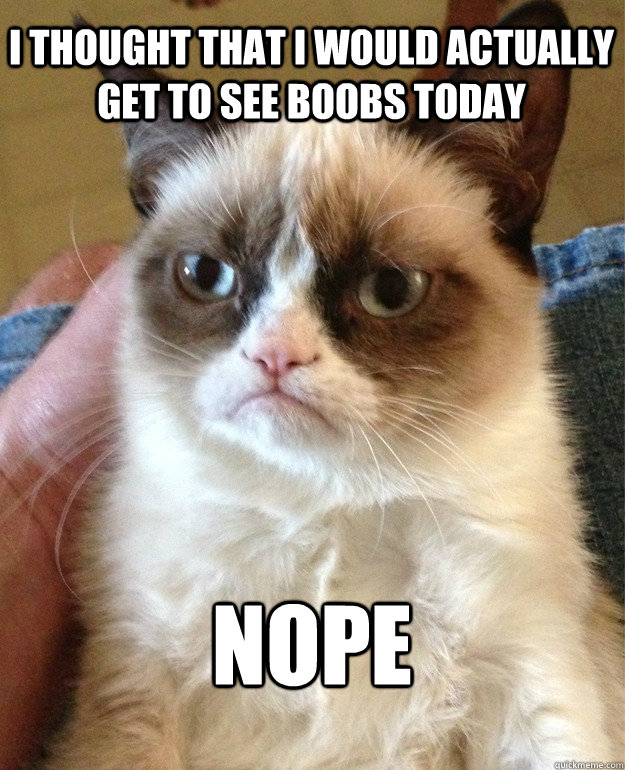 i thought that I would actually get to see boobs today nope  Grumpy Cat