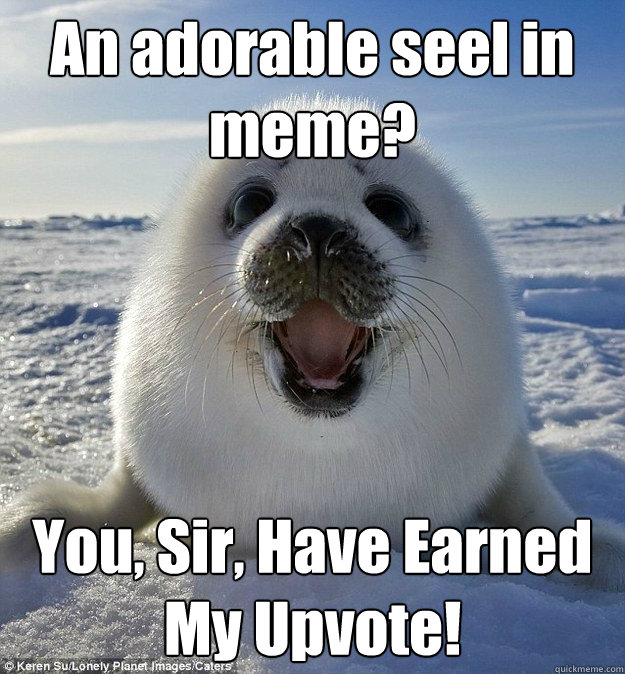 An adorable seel in meme? You, Sir, Have Earned My Upvote! - An adorable seel in meme? You, Sir, Have Earned My Upvote!  Easily Pleased Seal